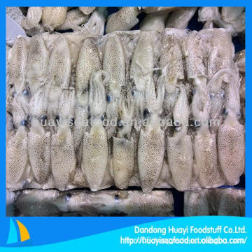 Supply baby squid frozen loligo japonica for sale